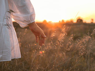 Hand of woman in filed at sunset/sunrise