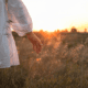 Hand of woman in filed at sunset/sunrise